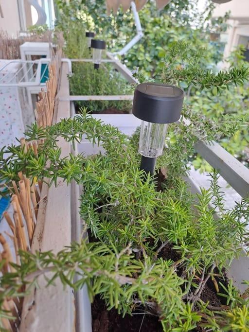 Δίπλα Στο Πάρκο Διαμέρισμα Καλαμάτα Εξωτερικό φωτογραφία