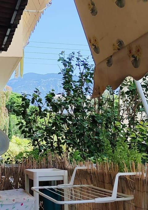 Δίπλα Στο Πάρκο Διαμέρισμα Καλαμάτα Εξωτερικό φωτογραφία