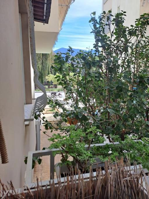 Δίπλα Στο Πάρκο Διαμέρισμα Καλαμάτα Εξωτερικό φωτογραφία